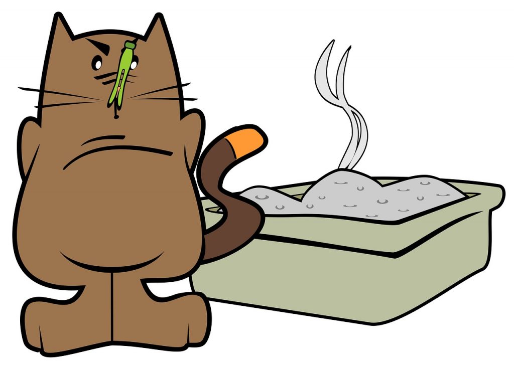 how to stop litter box odor