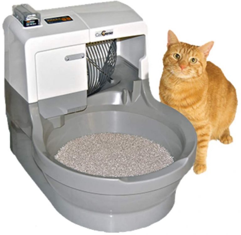 Best Self Cleaning Litter Box for Large Cats Top 3 Picks!