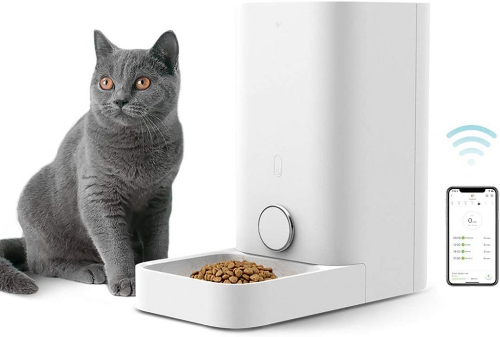 time release cat food dispenser
