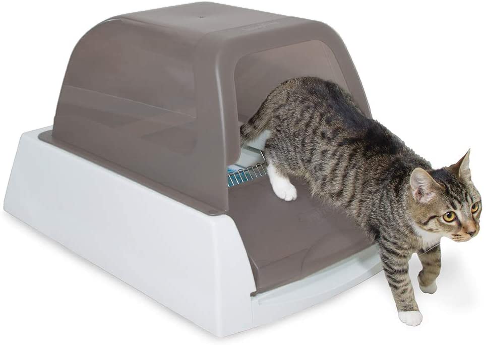 best self cleaning litter box for large cats