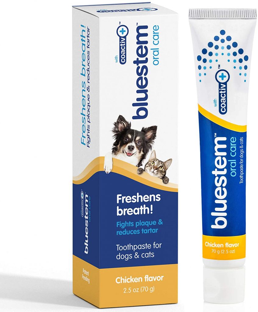 Toothpaste for Cats with Gingivitis 5 Editor Picks and Buying Guide