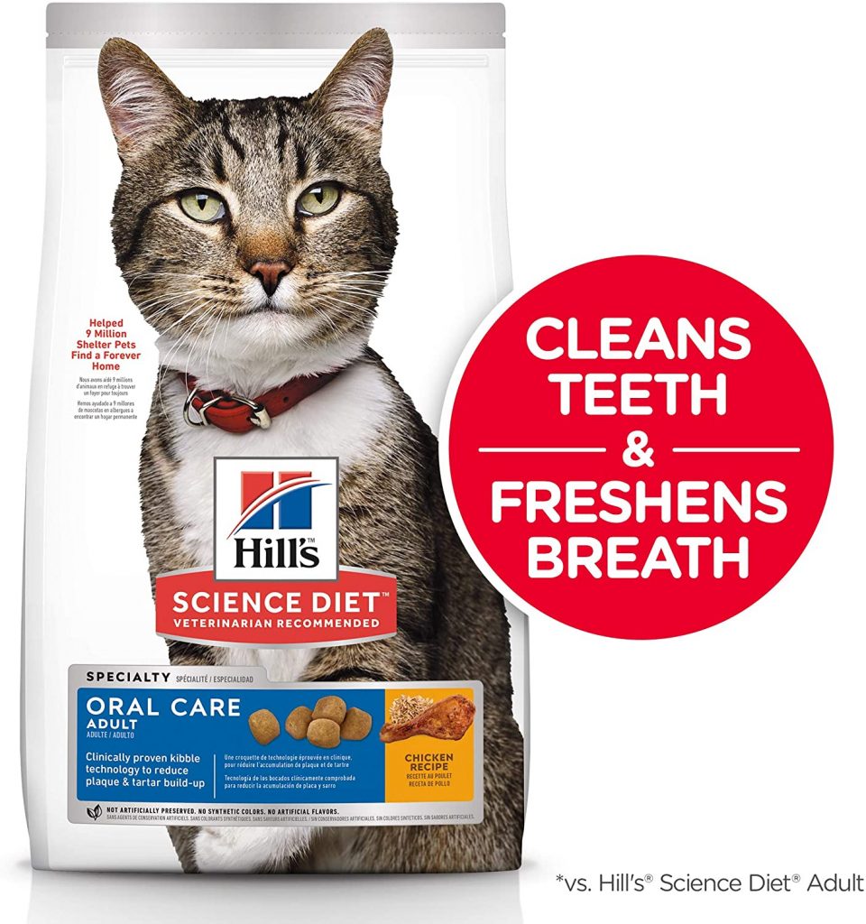 Top 5 Best Dental Chews for Cats for Better Oral Health Top Cat Breeds