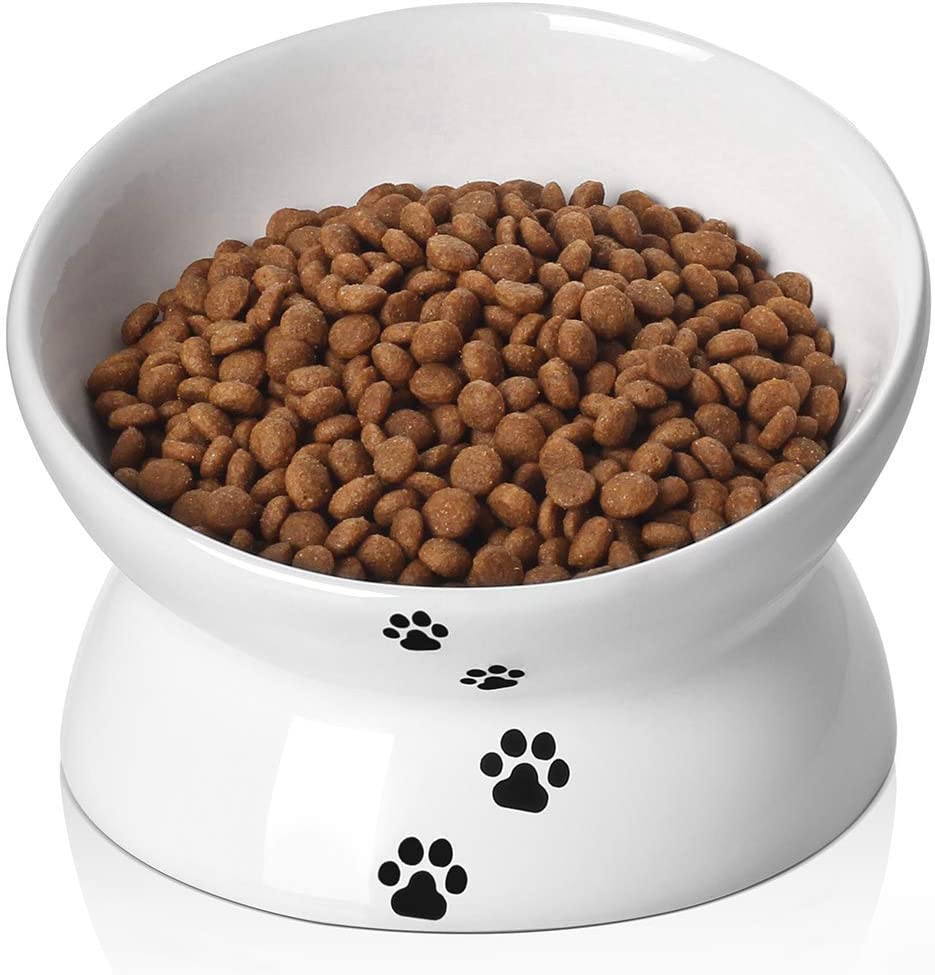 food bowls for Persian cats