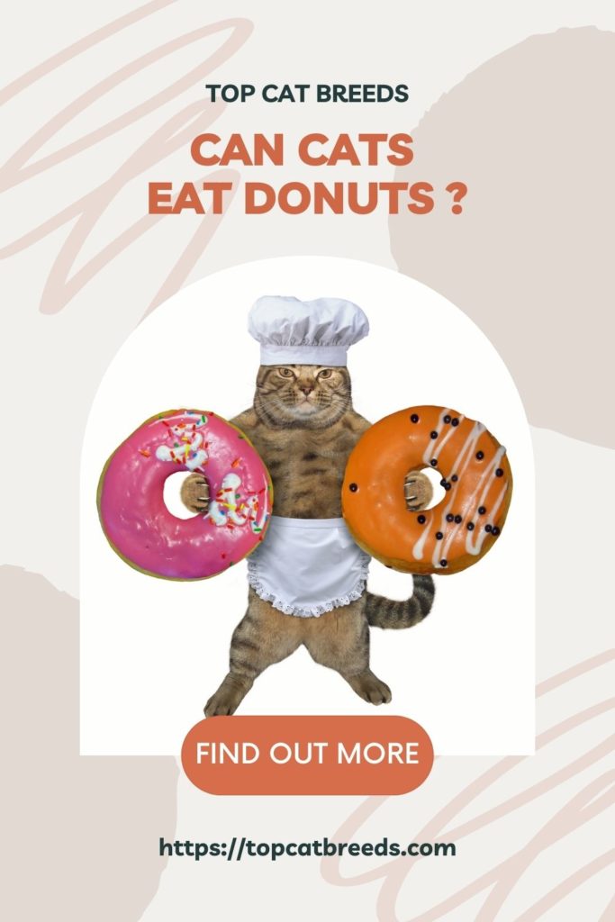 Are Donuts Bad For Cats