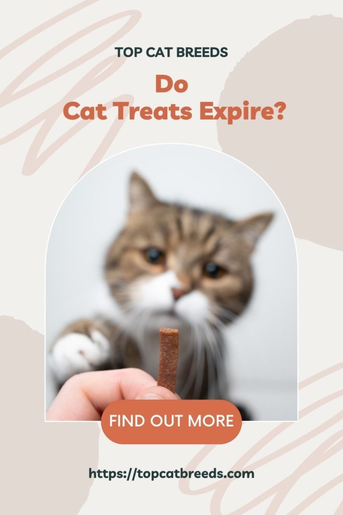How Long Do Cat Treats Last After Opening