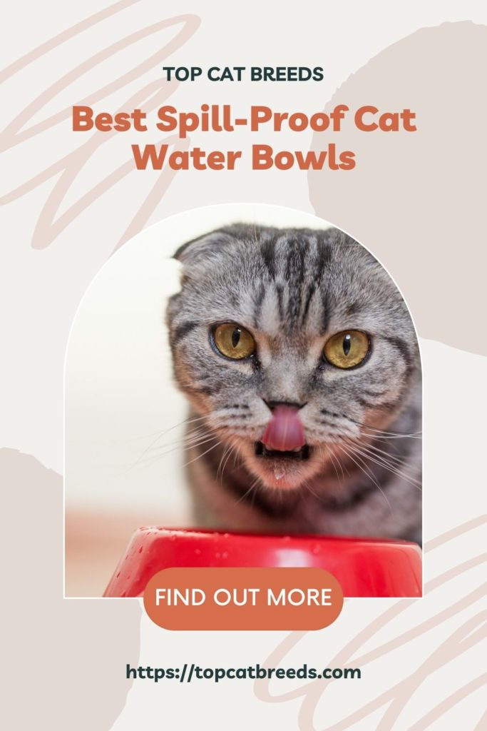 spill proof cat water bowl 