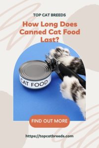 Does Canned Cat Food Really Expire