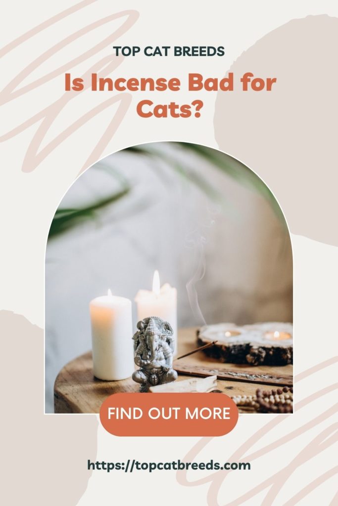 Is Incense Harmful for Cat