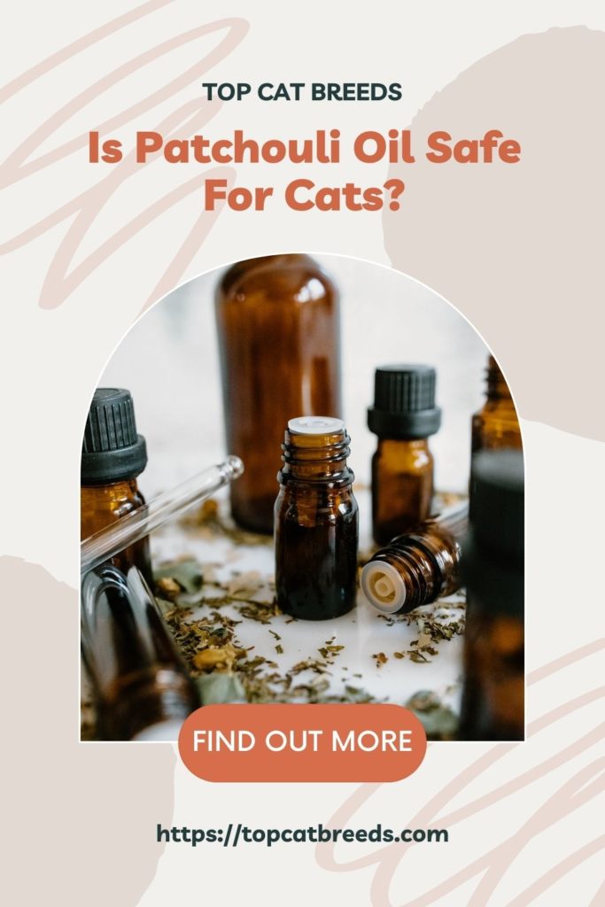 Is Patchouli Oil Safe To Diffuse Around Cats