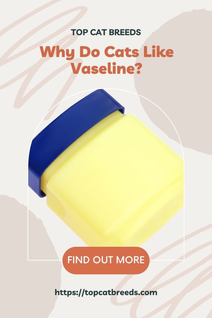 Is Vaseline Safe for Cats' Skin