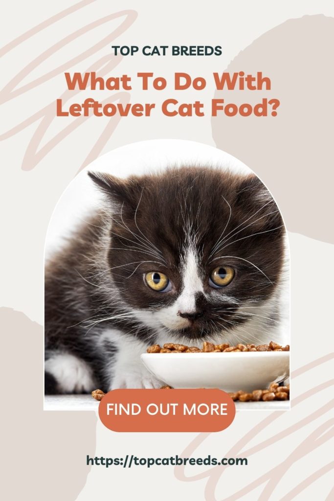 Can You Save Leftover Cat Food