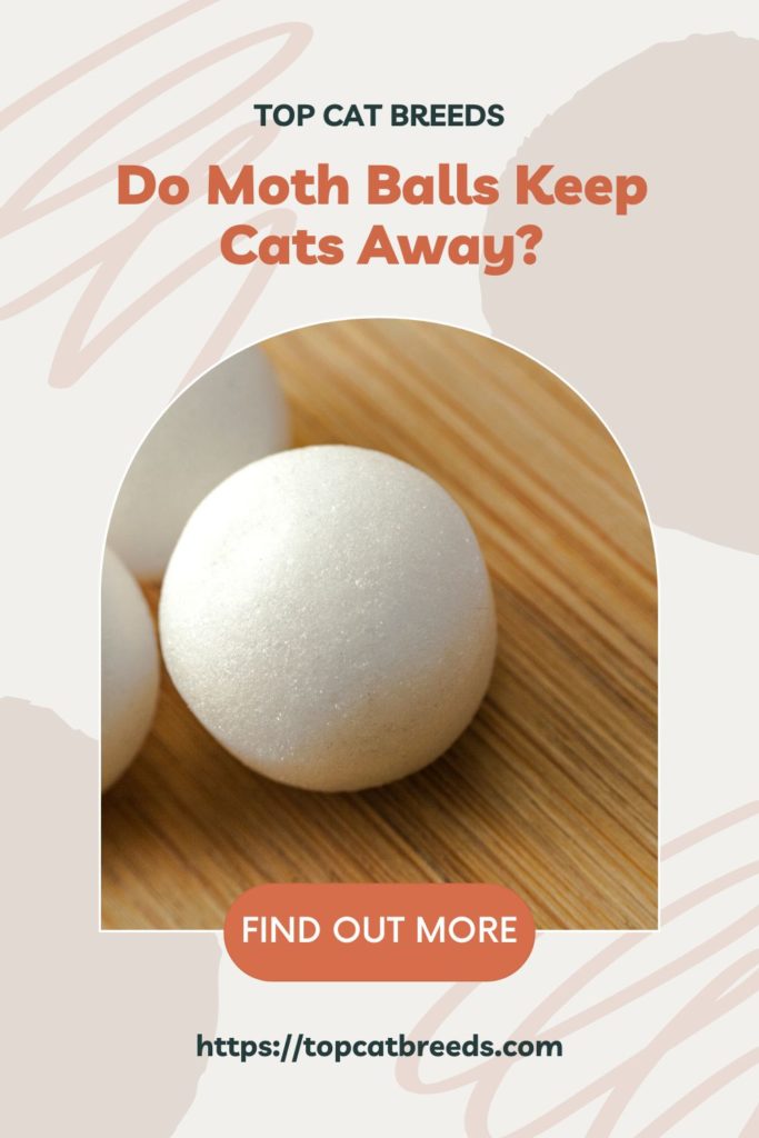 Will Mothballs Keep Your Cats Away From Your Yard
