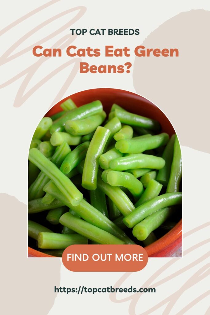 Are Green Beans An Ideal Cat Food