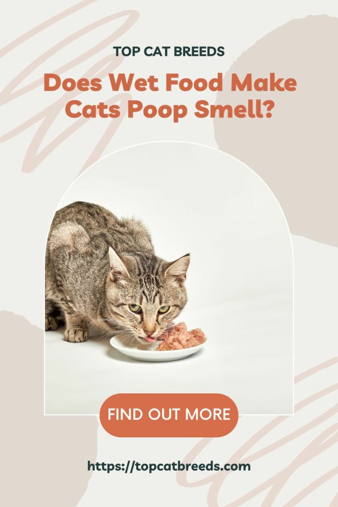 What Are Some Causes That Make Cats' Poop Smell Bad