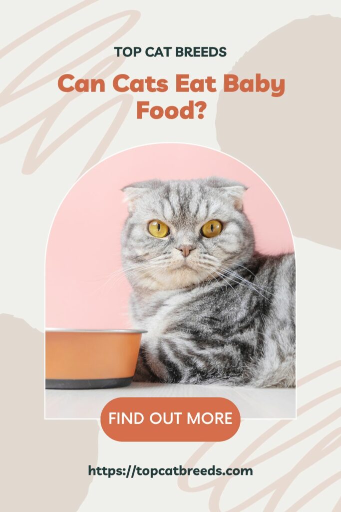 Can Your Cats Really Eat Baby Foods