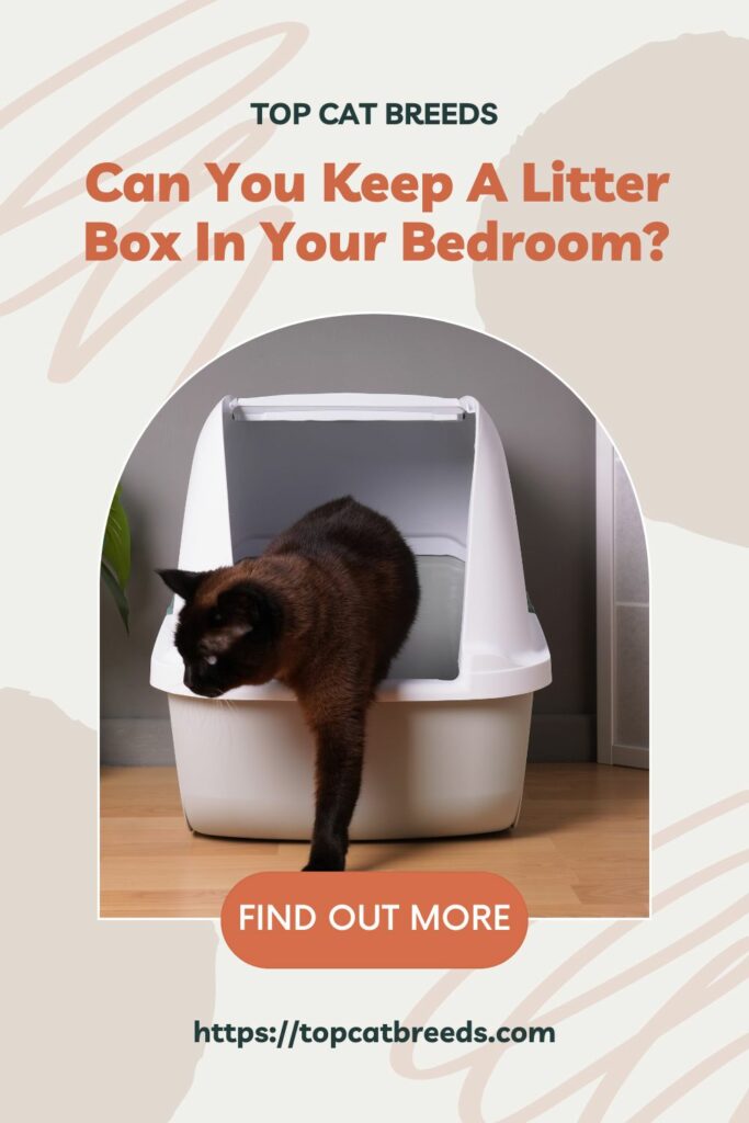 Does putting a cat's litter box in a bedroom dangerous