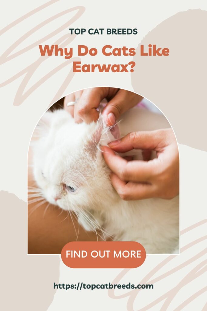 How To Prevent Cats From Eating Earwax