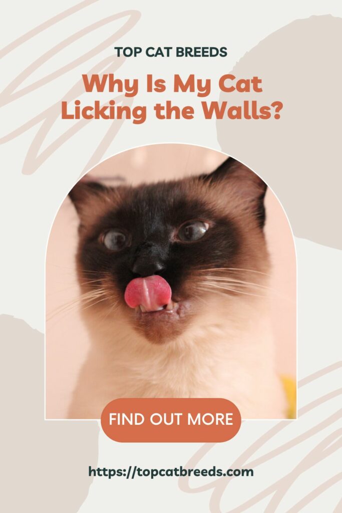 How to Correct the Wall-Licking Behavior of Your Cat