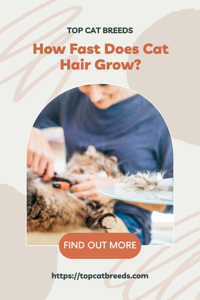 How Long Would it Take for Cats' Hair to Grow Back
