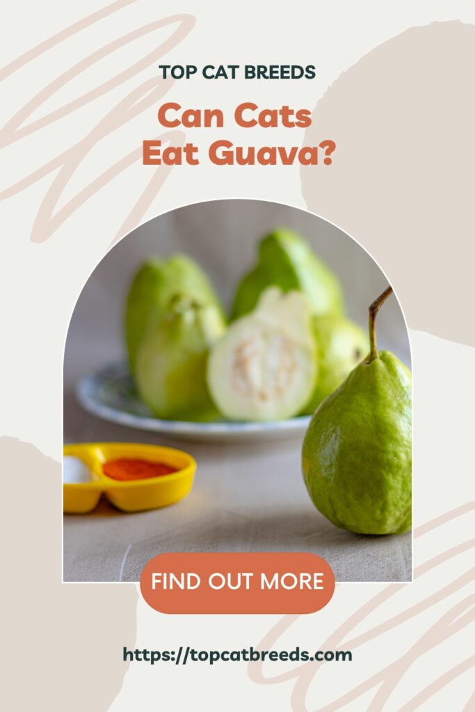 Benefits of Eating Guava for Cats