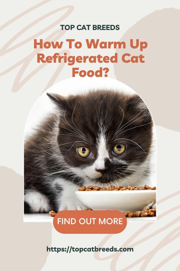 Is it Necessary to Warm up Cat Food After Being Refrigerated