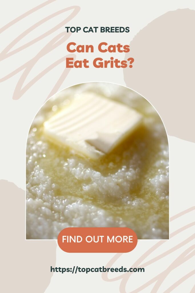 Are Grits Healthy For Your Cats?