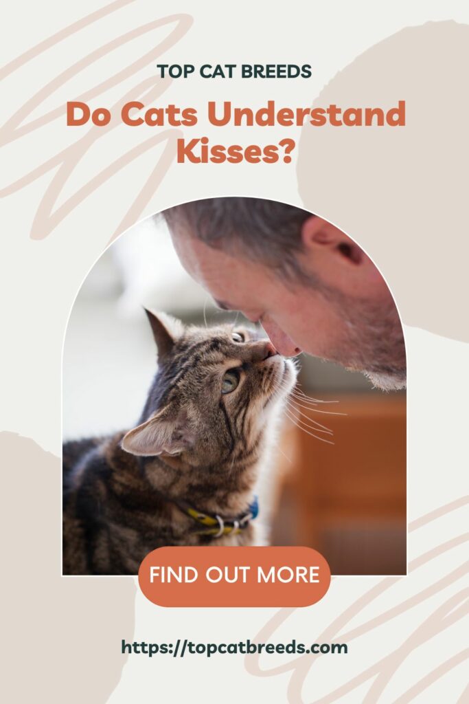 Does Cat Like to be Kissed