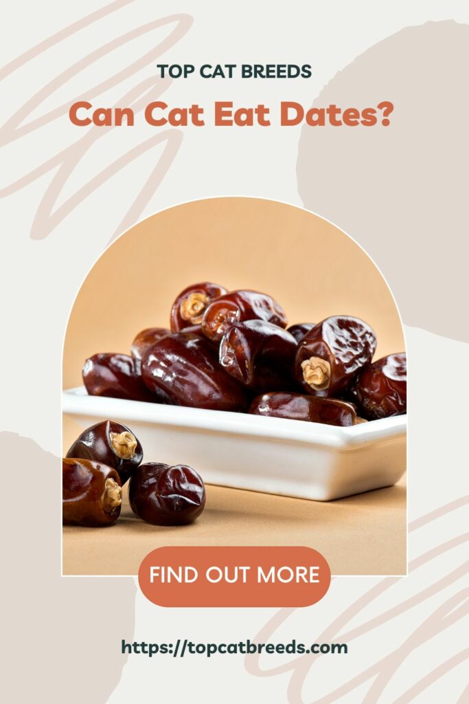 Can Cats Consume Dates