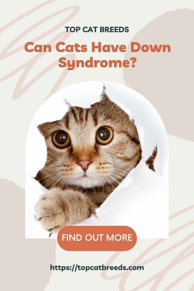 an cats develop down syndrome