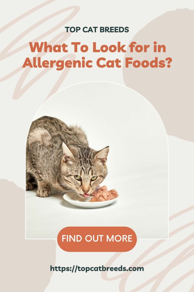 Understanding Cat Allergies