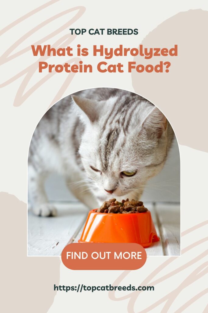 Understanding What is Hydrolyzed Protein Cat Food Means